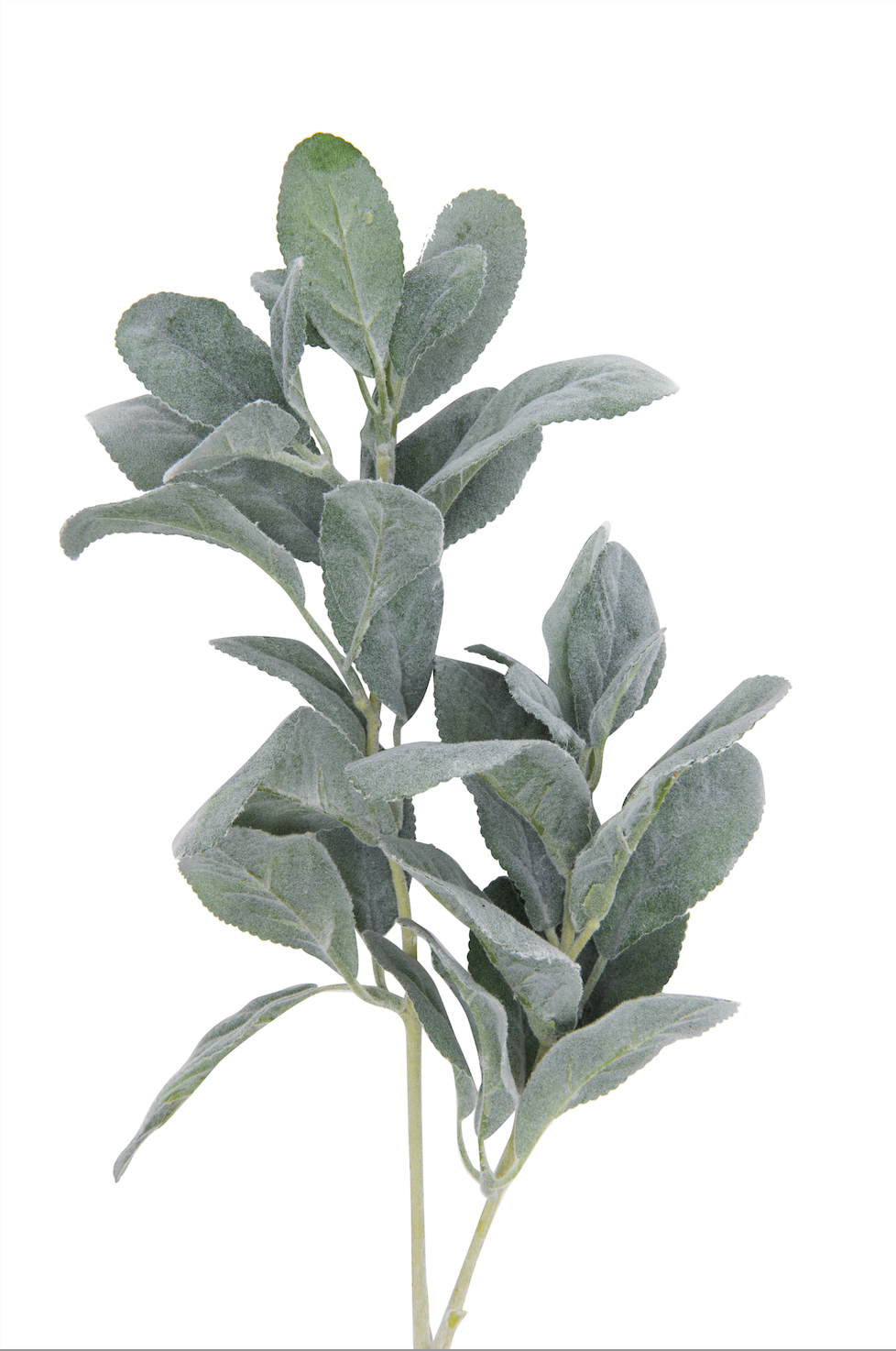 Faux Lemon Tree Branch