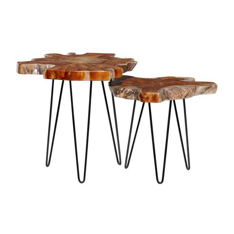 Brown Teak Wood Contemporary Accent Table, Set of 2 20", 23"W