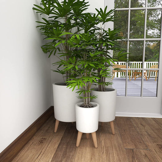 Ceramic Planter with Tripod Wood Feet, Set of 3 12", 15", 17"H