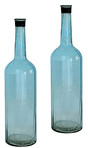 Glass Bottle Vase Set of 2