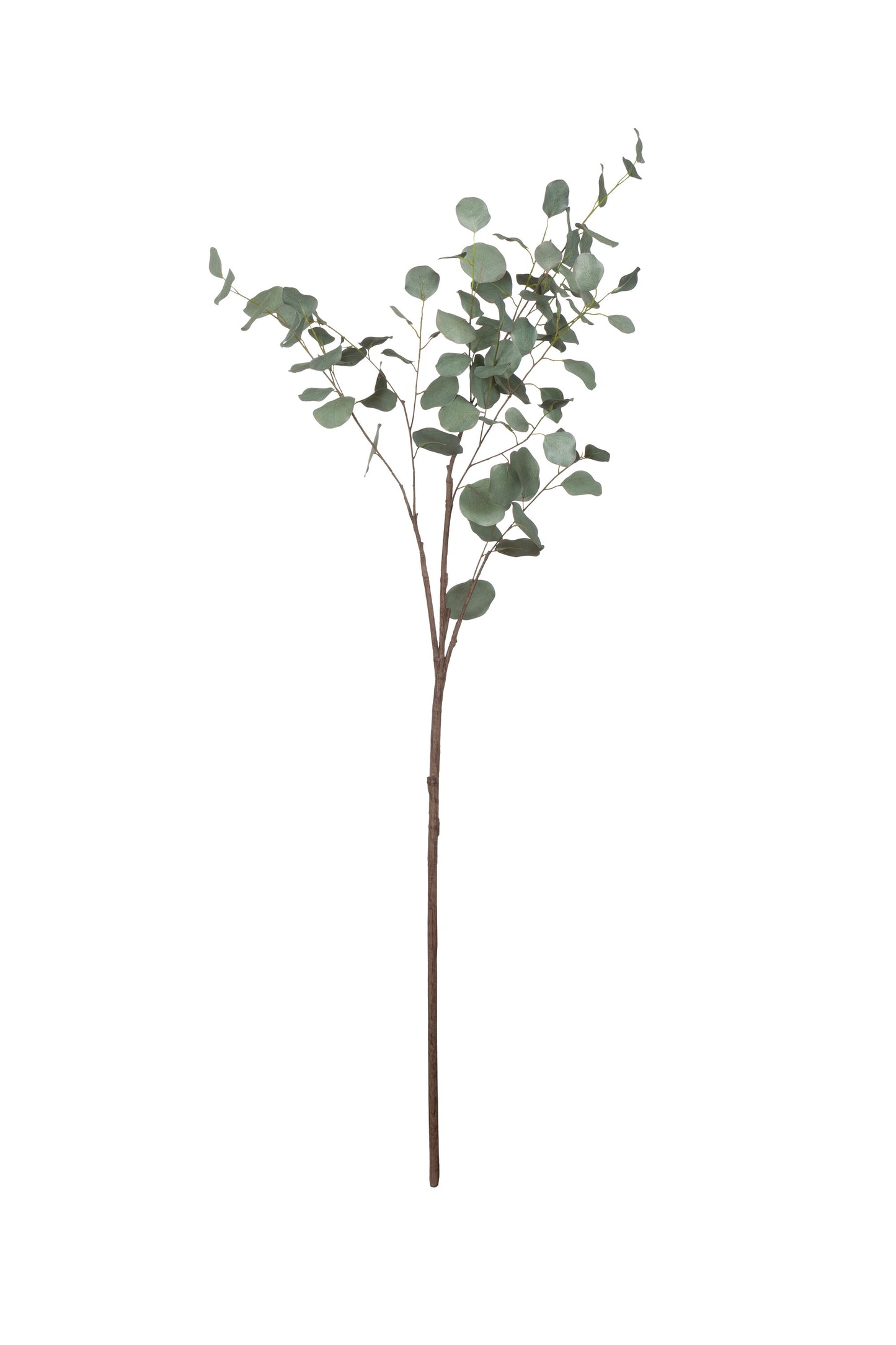 Faux Eucalyptus Branch