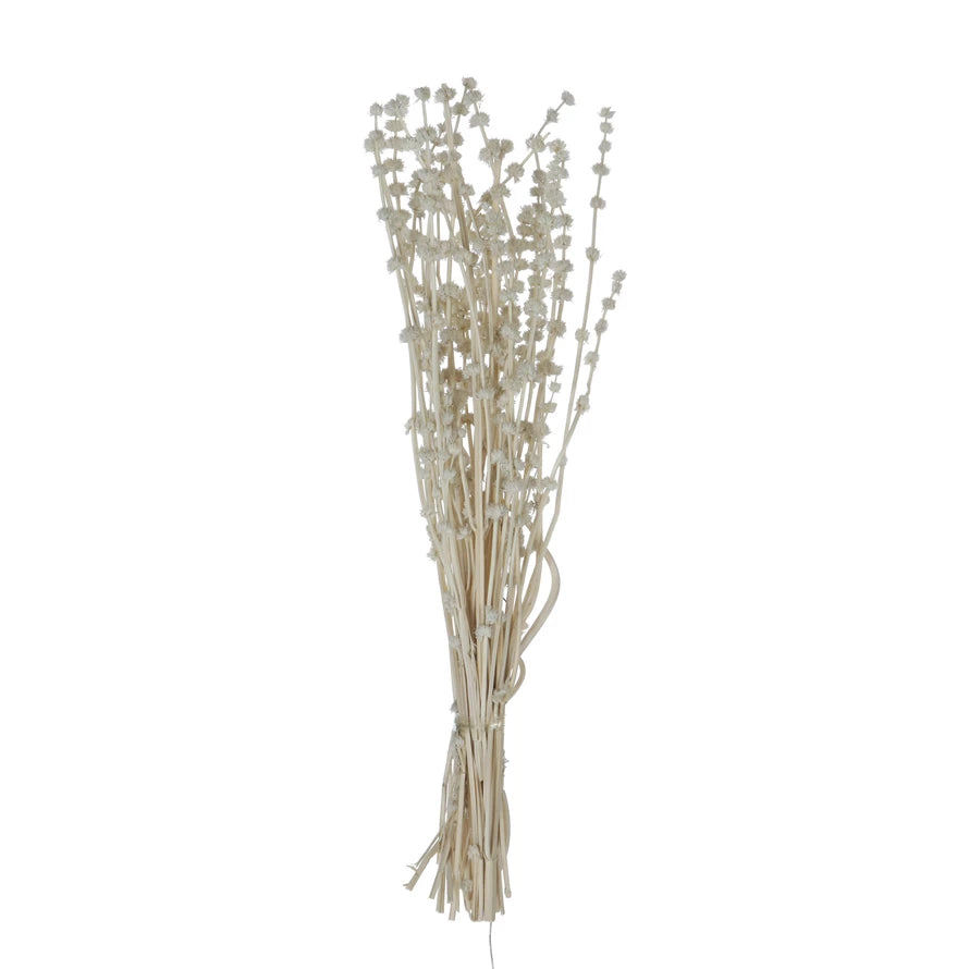 19.5"H Dried Natural Lion's Tail Bunch