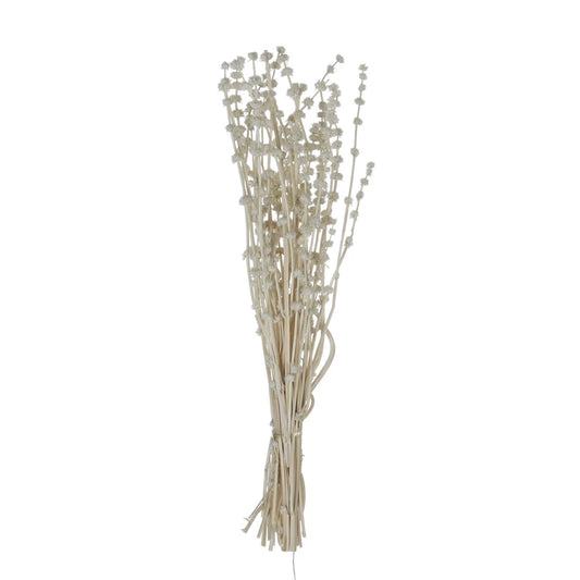 19.5"H Dried Natural Lion's Tail Bunch
