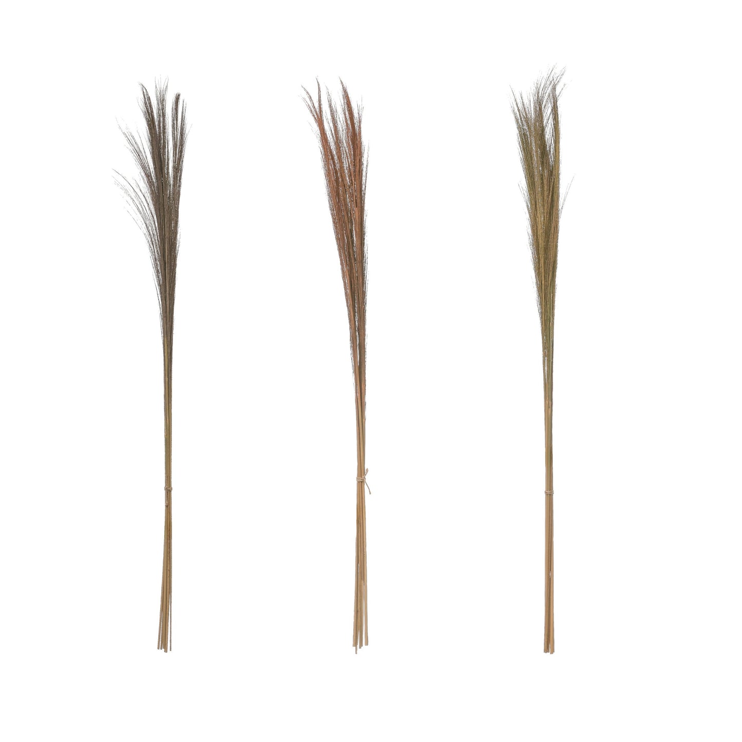 43"H Dried Natural Feather Grass Bunch