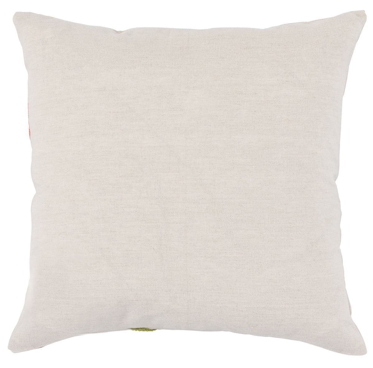 CC Lynn Multi 18x18 Accent Pillow